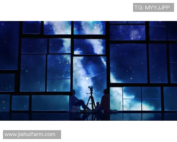 足球飞猪的奇幻旅程：从草地到星空的梦想与挑战