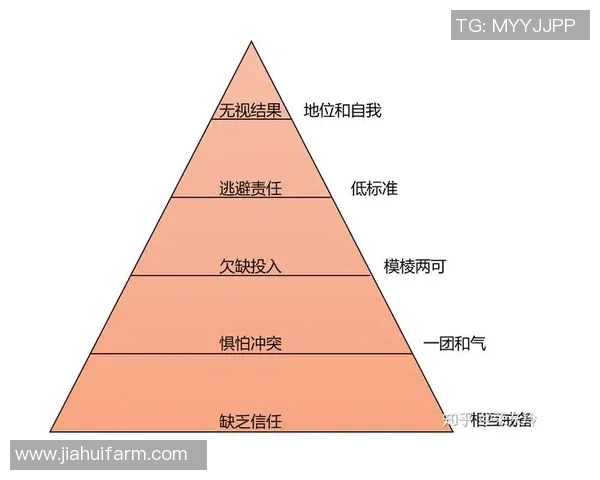重庆街舞队力量表现的数据分析与探讨：技术与团队协作的完美结合