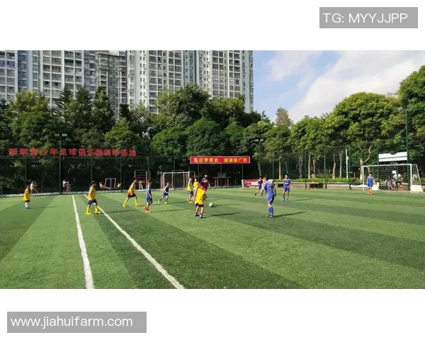 金晨足球：从绿茵场到荧幕，展现运动与青春的完美结合