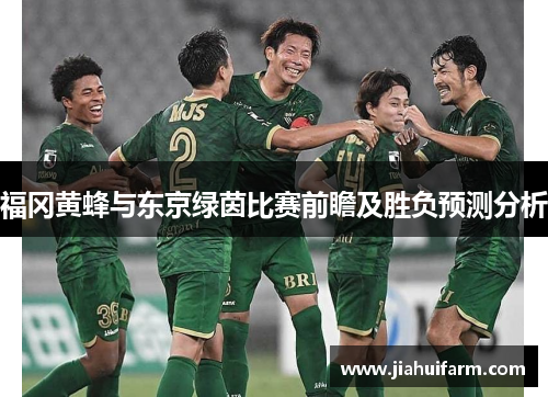 福冈黄蜂与东京绿茵比赛前瞻及胜负预测分析